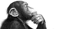 chimpanzee.bmp