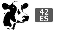 cow42.bmp