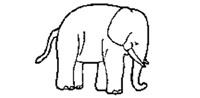 elephant.bmp
