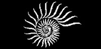 fossile_N.bmp