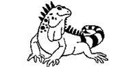 iguana.bmp