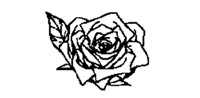 rose.bmp